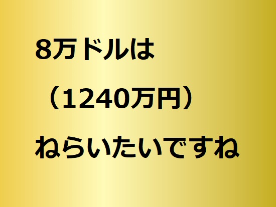 ビットコインで8万ドル（1240万円）はねらいたい