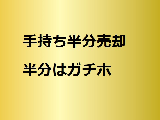 手持ちBTCの半分売却半分はガチホ